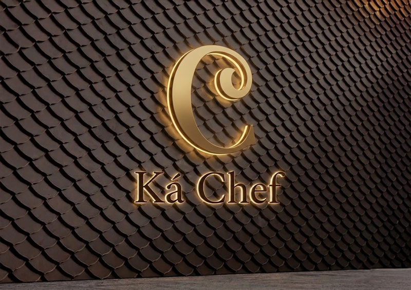 Logo design project 17