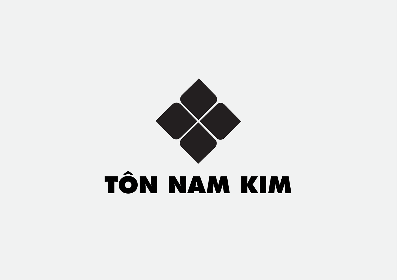 Ton Nam Kim logo design